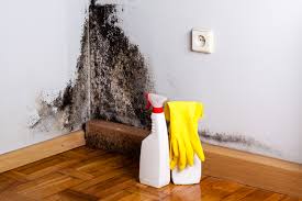 Best Real Estate Mold Inspection  in Jamesburg, NJ